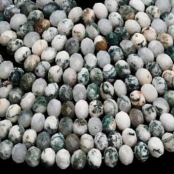 Natural Tree Agate Beads Strands&nbsp;G-Z111-A46