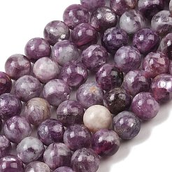 Natural Lepidolite/Purple Mica Stone Beads Strands&nbsp;G-G160-A01-02A
