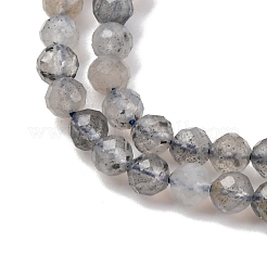 Natural Labradorite Beads Strands&nbsp;G-RM250104-E3