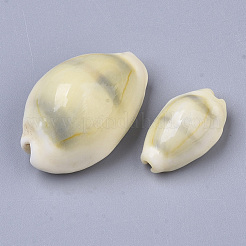 Natural Cowrie Shell Beads&nbsp;SSHEL-N034-B-26