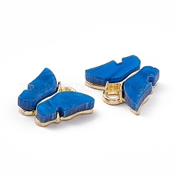 Acrylic Charms&nbsp;MACR-C012-01KCG-16