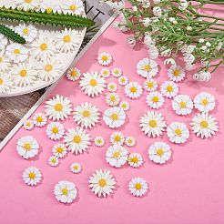 100個5スタイルの不透明樹脂カボション  デイジー  ホワイト  14~26x5~7mm&nbsp;RESI-SZ0001-47