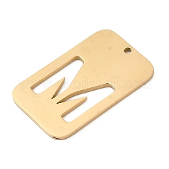 304 Stainless Steel Pendants&nbsp;STAS-D200-01M-G