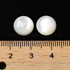 Natural White Shell Cabochons&nbsp;X-SSHEL-M022-01C