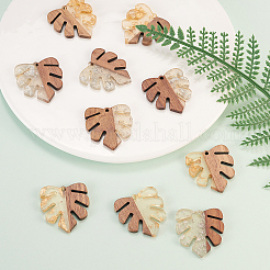 Transparent Resin & Walnut Wood Pendants&nbsp;RESI-CJ0001-53