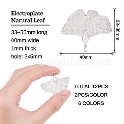 アイアン製ペンダント  天然葉の電気メッキ  イチョウ葉  ミックスカラー  33~35x40x1mm  穴：3x5mm  6色  2個/カラー  12個/箱&nbsp;IFIN-BC0001-09