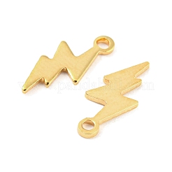 201 Stainless Steel Charms&nbsp;STAS-Z049-03G