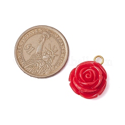 Opaque Resin Pendants&nbsp;PALLOY-JF02752-02