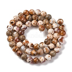 Natural Fire Crackle Agate Beads Strands&nbsp;G-G163-A01-01