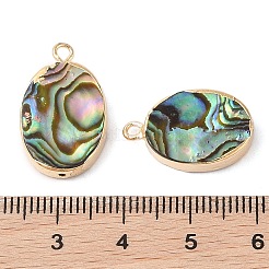 Natural Paua Shell Pendants&nbsp;SHEL-P017-17G