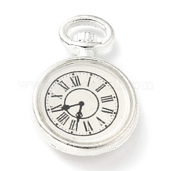 Alloy Enamel Pendants&nbsp;FIND-G020-A01-S