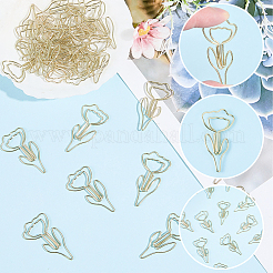 60Pcs Iron Paperclips&nbsp;OFST-SP0001-07