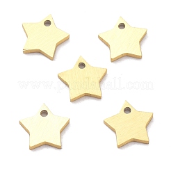 Ion Plating(IP) 304 Stainless Steel Pendants&nbsp;STAS-K216-46G