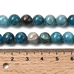 Natural Apatite Beads Strands&nbsp;G-F674-04-8mm