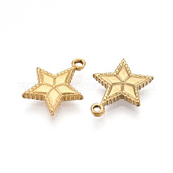 304 Stainless Steel Charms&nbsp;STAS-N109-65G
