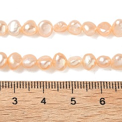 Natural Cultured Freshwater Pearl Beads Strands&nbsp;PEAR-C004-21F