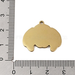201 Stainless Steel Pendants&nbsp;STAS-C095-09G