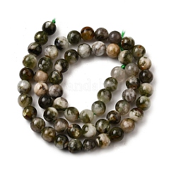 Natural Lepidolite Beads Strands&nbsp;G-F799-B01-7mm