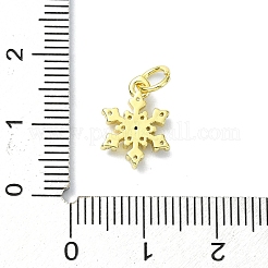 Brass Micro Pave Clear Cubic Zirconia Charms&nbsp;KK-H475-55G-02