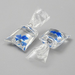 Transparent Resin Big Pendants&nbsp;RESI-TAC0024-01C