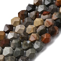 Natural Picasso Jasper Beads Strands&nbsp;G-Z119-A25-03