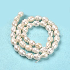 天然養殖淡水パールビーズ連売り  ライス  グレードA  ライム  8~9x6~7mm  穴：0.7mm  約41~42個/連  13.98~14.17''（35.5~36センチメートル）&nbsp;PEAR-E016-191