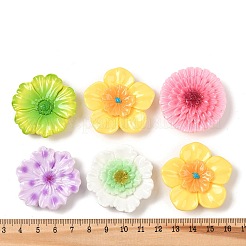 オペーク樹脂カボション  花  ミックスカラー  38~41x37~41x10~17mm&nbsp;RESI-K030-07