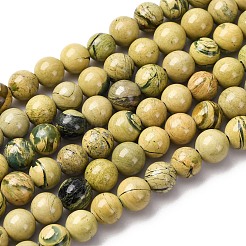 Natural Verdite Stone Beads Strands&nbsp;G-C242-03-6mm