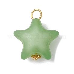 オペークアクリルパーツ  真鍮のパーツと  スター  ミックスカラー  22~23x19~20x11~12mm  穴：3~4mm&nbsp;PALLOY-JF03993