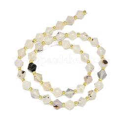 Natural Dendritic Agate Beads Strands&nbsp;G-I376-B11-01