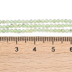 Natural Prehnite Beads Strands&nbsp;G-C255-B03-2mm