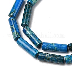 染色された天然インペリアルジャスパービーズ連売り  コラム  ドジャーブルー  13~14x4.5mm  穴：1.4mm  約30個/連  15.79~15.94''（40.1~40.5センチメートル）&nbsp;G-H087-H01-01C