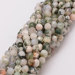 Natural Tree Agate Bead Strands&nbsp;X-G-G882-6mm-E02