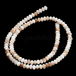 Natural Freshwater Shell Beads Strands&nbsp;SHEL-C010-04B-01