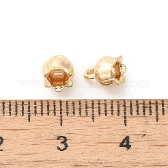 Brass Charms&nbsp;KK-Z040-02A