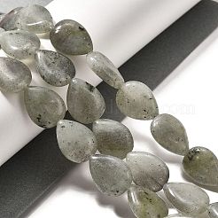天然石ラブラドライトビーズ連売り  ティアドロップ  16x12x5~6mm  穴：1mm  約25個/連  15.16''~15.75''（38.5~40センチメートル）&nbsp;G-P561-B05-01