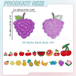 20Pcs 20 Styles Fruits Computerized Embroidery Cloth Iron on/Sew on Patches&nbsp;PATC-AR0001-18