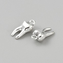 Zinc Alloy Pendants&nbsp;FIND-WH0139-501AS