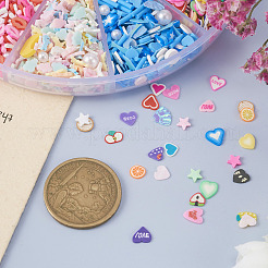 70G 10 Styles Handmade Polymer Clay Cabochons&nbsp;CLAY-TA0001-18