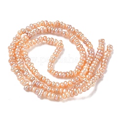 Natural Cultured Freshwater Pearl Beads Strands&nbsp;PEAR-C004-20D