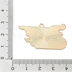スポーツ合金エナメルペンダント  ゴールドカラー  自転車  21x37x1mm  穴：2mm&nbsp;ENAM-I074-01G-18