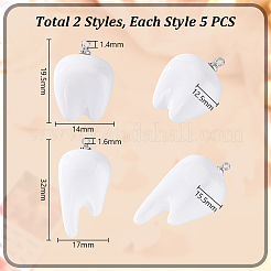 10本2スタイルレジンペンダント  プラチナトーンループ付き  歯牙  ホワイト  19.5~32x14~17x12.5~15.5mm  穴：1.4~1.6mm  5個/スタイル&nbsp;RESI-GA0001-32