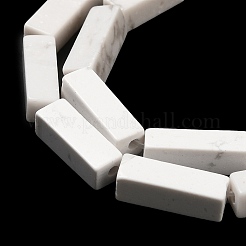Synthetic Howlite Beads Strands&nbsp;G-K340-D06-01
