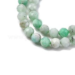 Natural Chrysoprase Beads Strands&nbsp;G-G195-A02-03