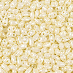 Opaque Colours Luster Glass Seed Beads&nbsp;SEED-T006-02K