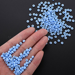 6/0 Glass Seed Beads&nbsp;SEED-T005-14-B20