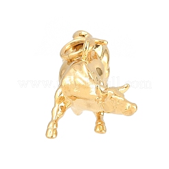 Brass Pendants&nbsp;KK-CBA855A-01G-02