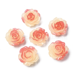 Opaque Resin Beads&nbsp;RESI-D050-13