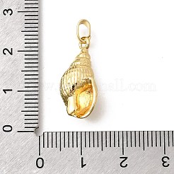 真鍮チャーム  プラチナ  長持ちメッキ  巻き貝の形をしたチャーム  22x10x8mm  穴：5x3mm&nbsp;KK-B187-02E-05G
