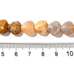 Natural Fossil Coral Beads Strands&nbsp;G-R190-10mm-45